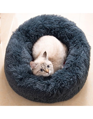 Generic Cat Beds for Indoor Cats