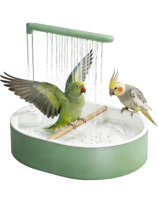 Parrot Bath