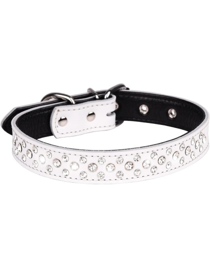 Rhinestones Dog Collar