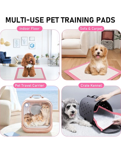 200 Count Disposable Dog Training Pads